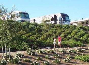Campsite Sun Outdoors Central Coast Wine Country 3*