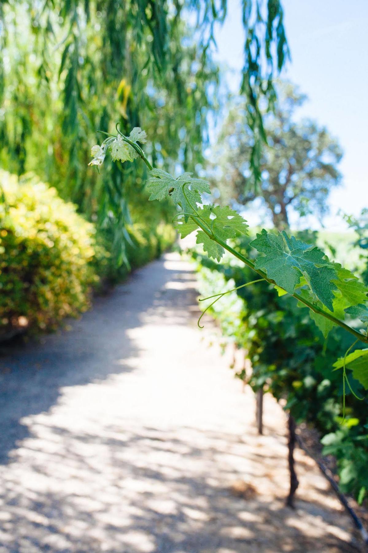 Sun Outdoors Central Coast Wine Country 3* Paso Robles